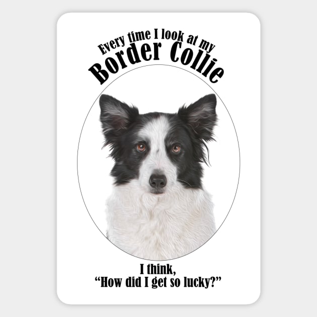 Lucky Border Collie Sticker by You Had Me At Woof